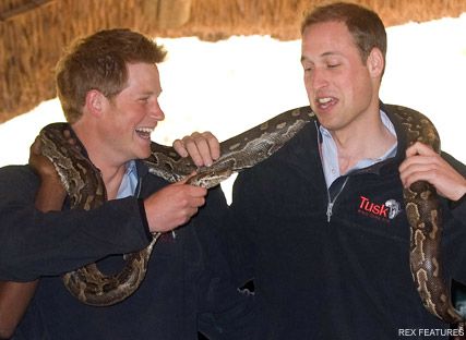 Prince-William-and-Prince-Harry-crop.jpg