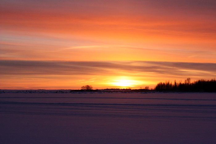 photo IMG_9537_zps941c1f9c.png