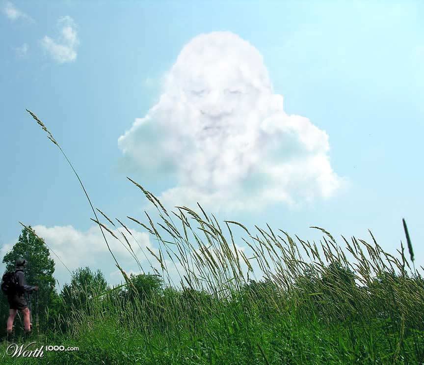 013.jpg