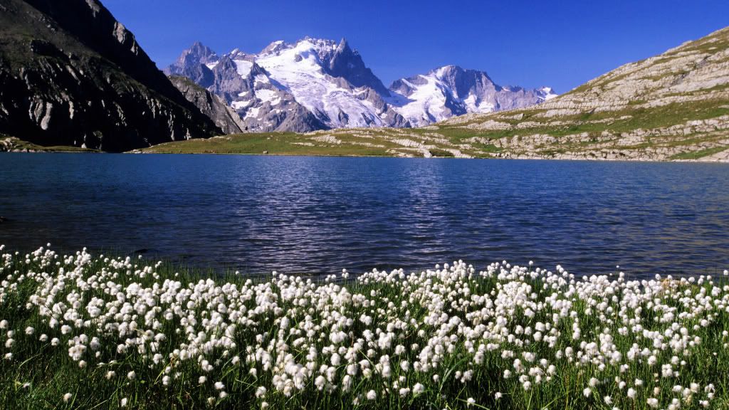 HDPackSuperiorWallpapers358_045.jpg