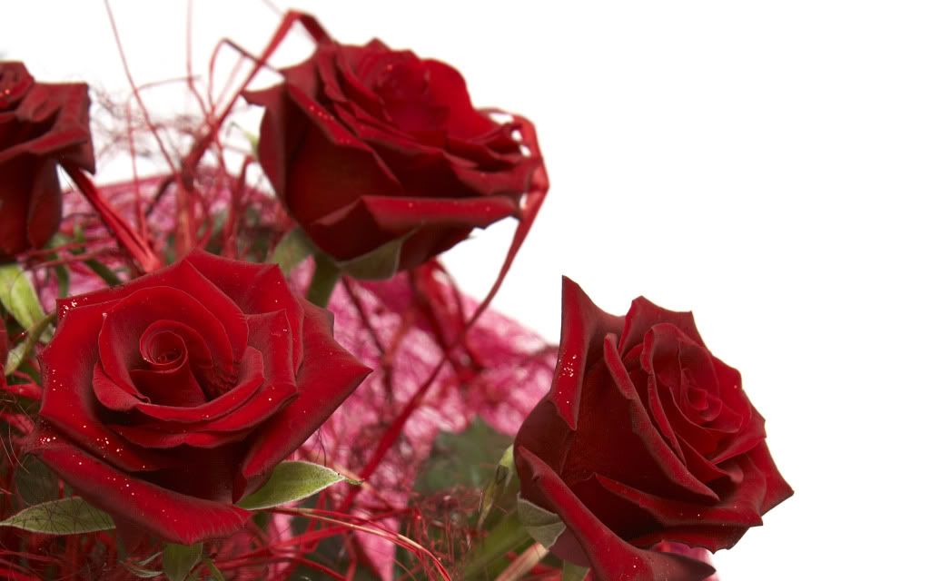 HDPackSuperiorWallpapers358_112.jpg
