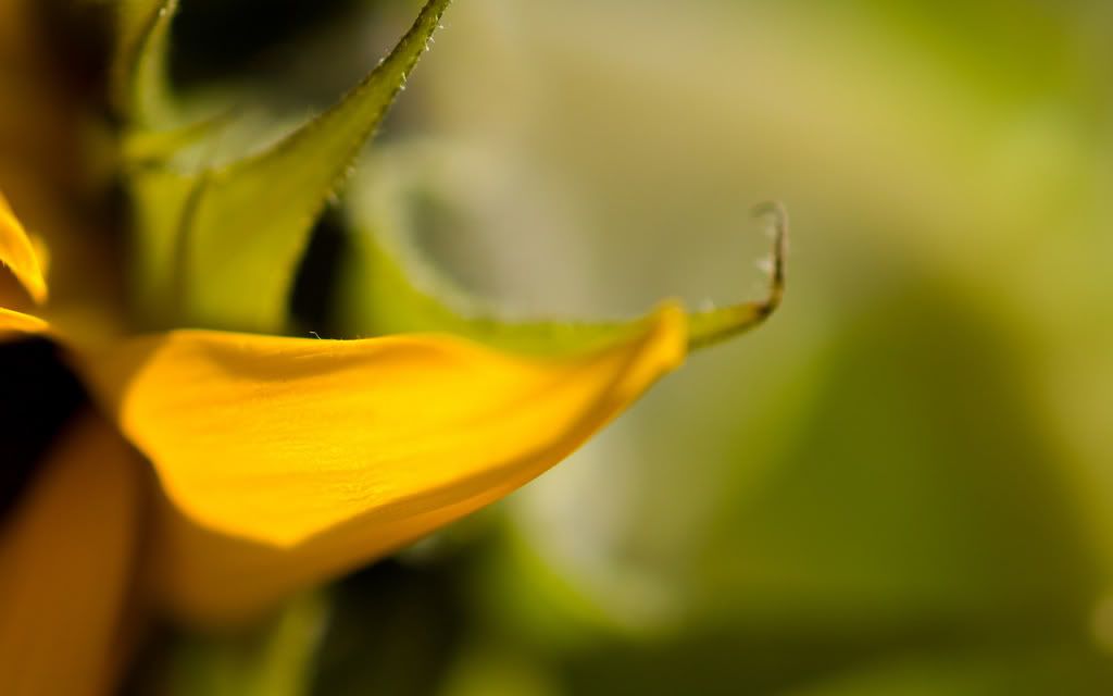 Img00837.jpg
