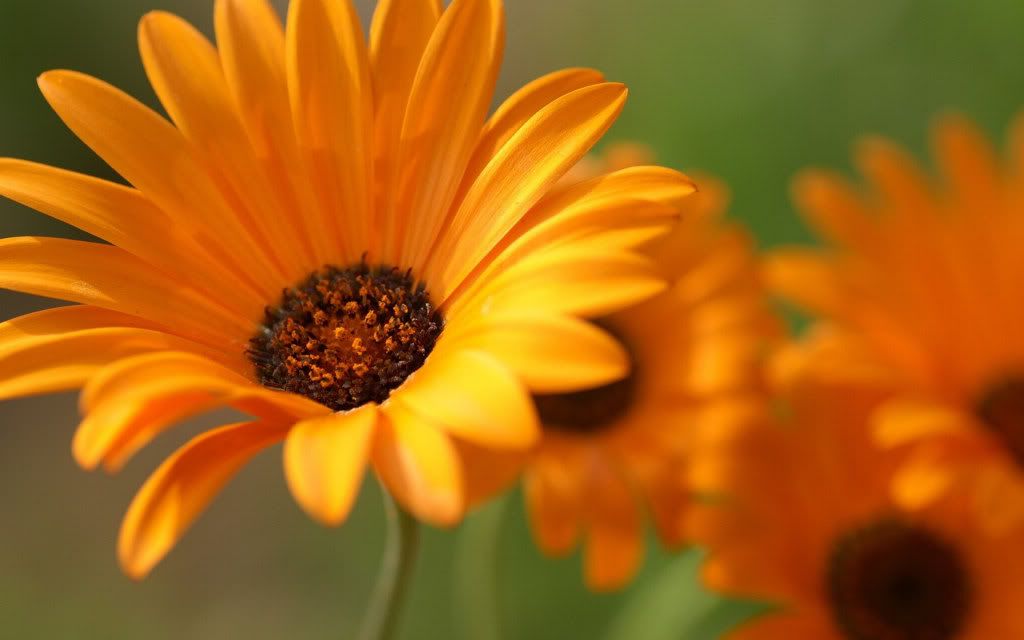 Img00843.jpg