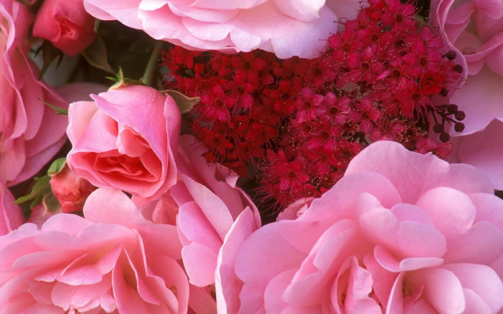 Img00860.jpg