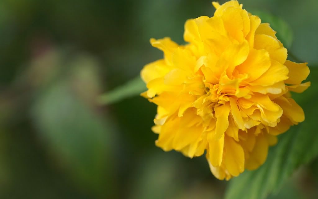 Img00863.jpg