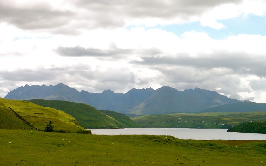 Img00887.jpg