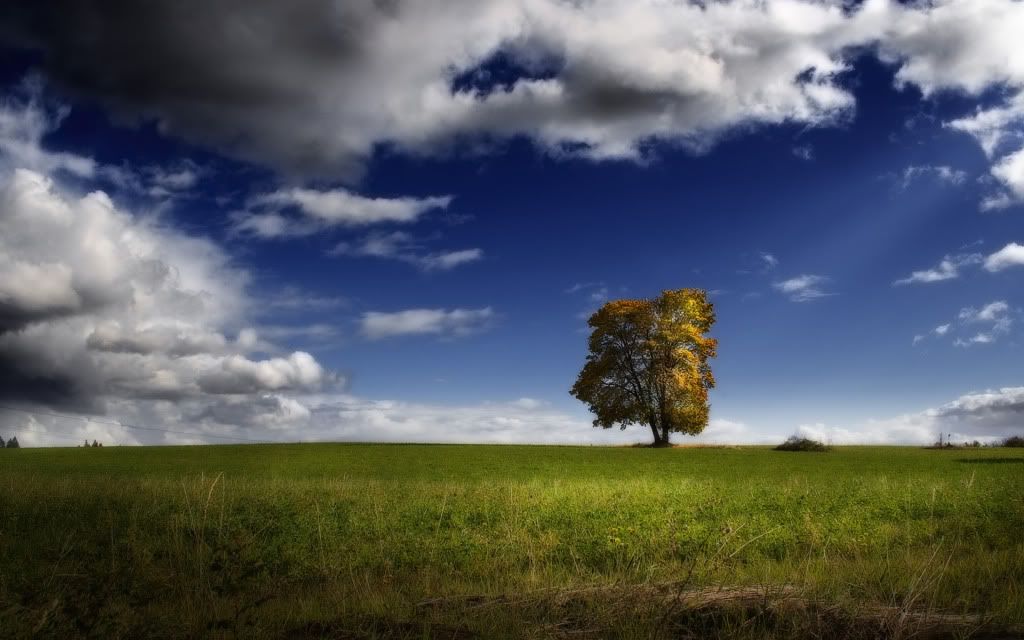 Img00890.jpg