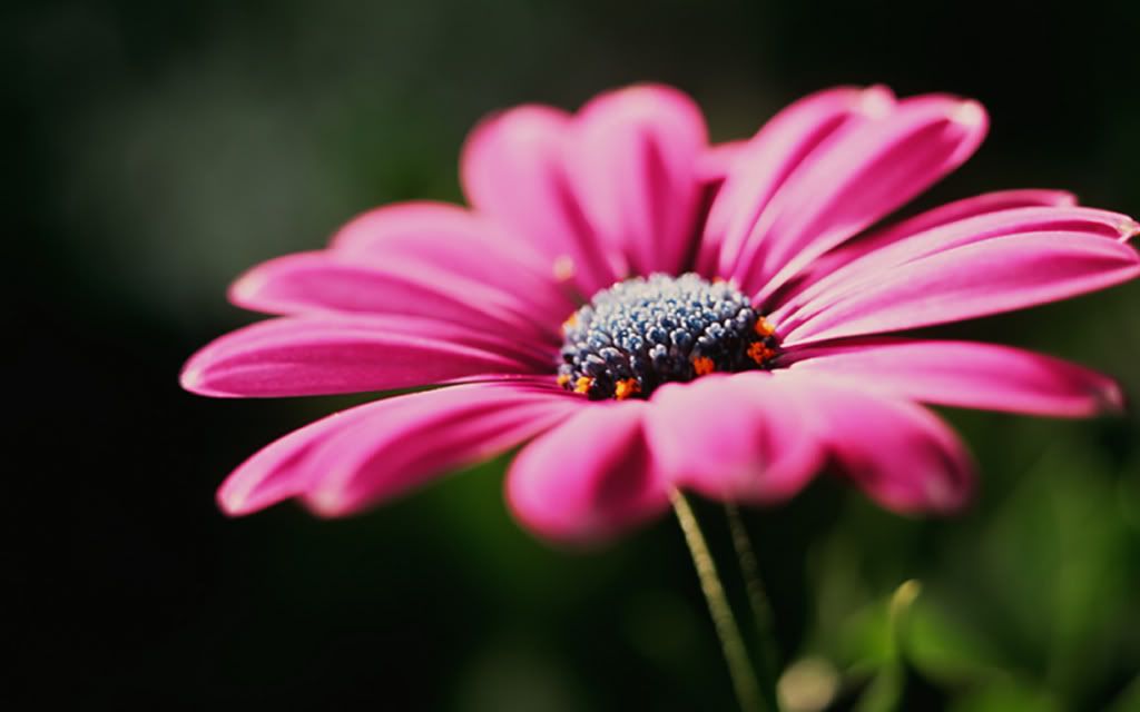 Img00893.jpg