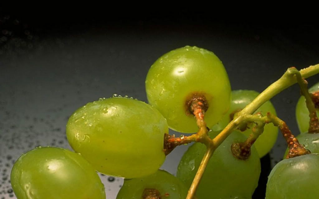 Img00906.jpg