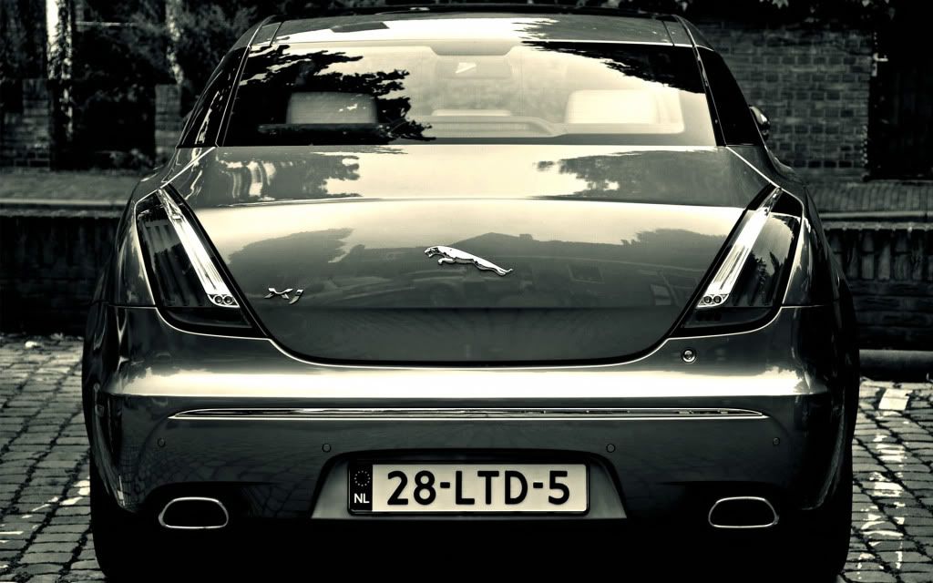 Img00920.jpg