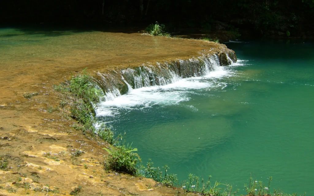 Img00923.jpg