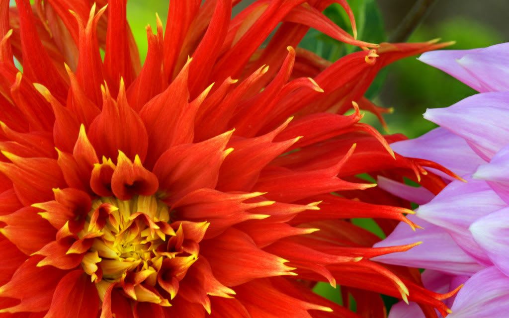 Img00927.jpg