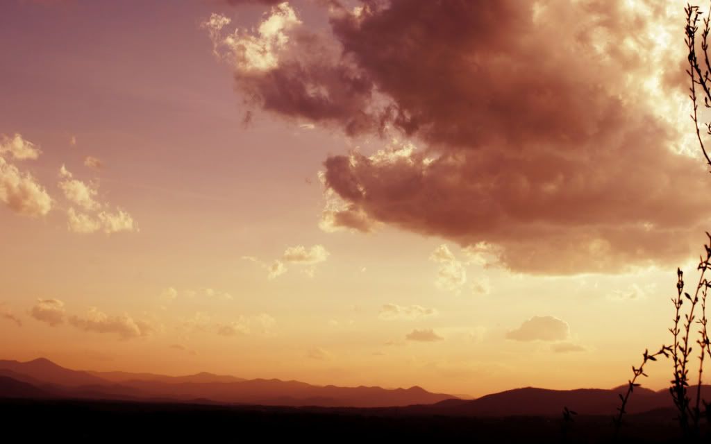 Img00938.jpg