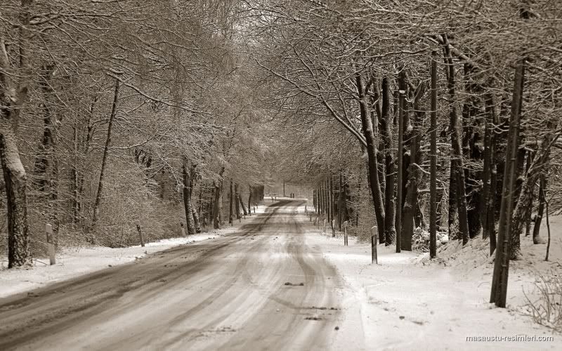 yol-8.jpg