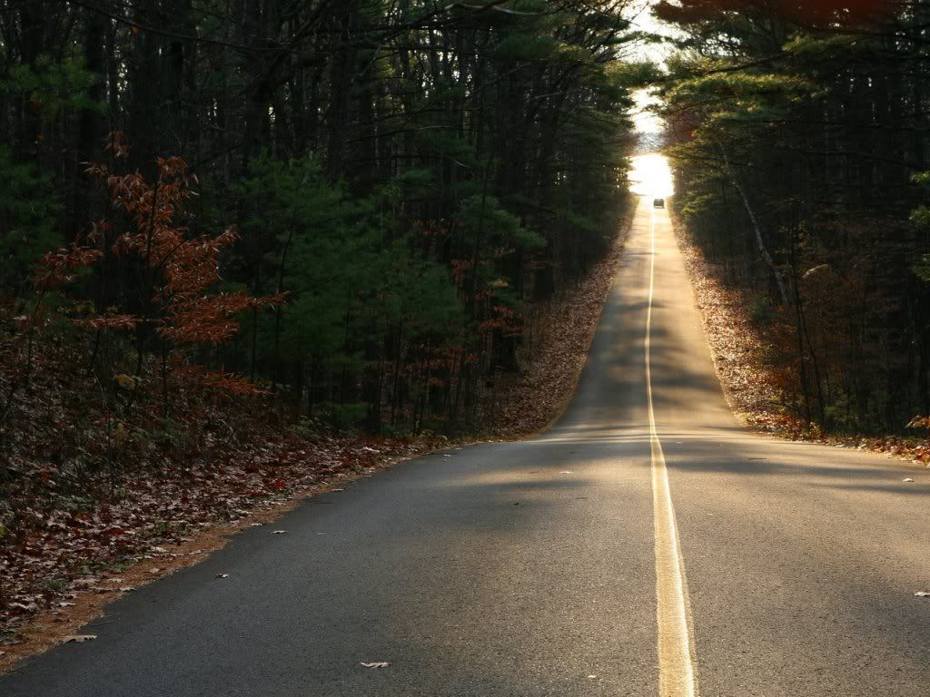 yol_manzarasi_6.jpg