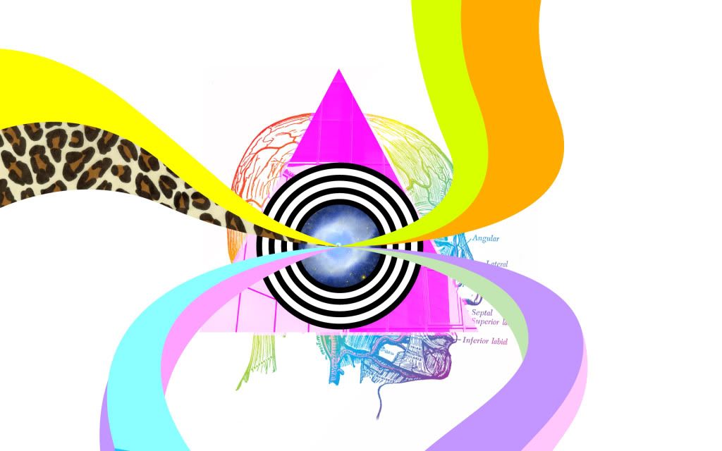 1920-1200-37185.jpg