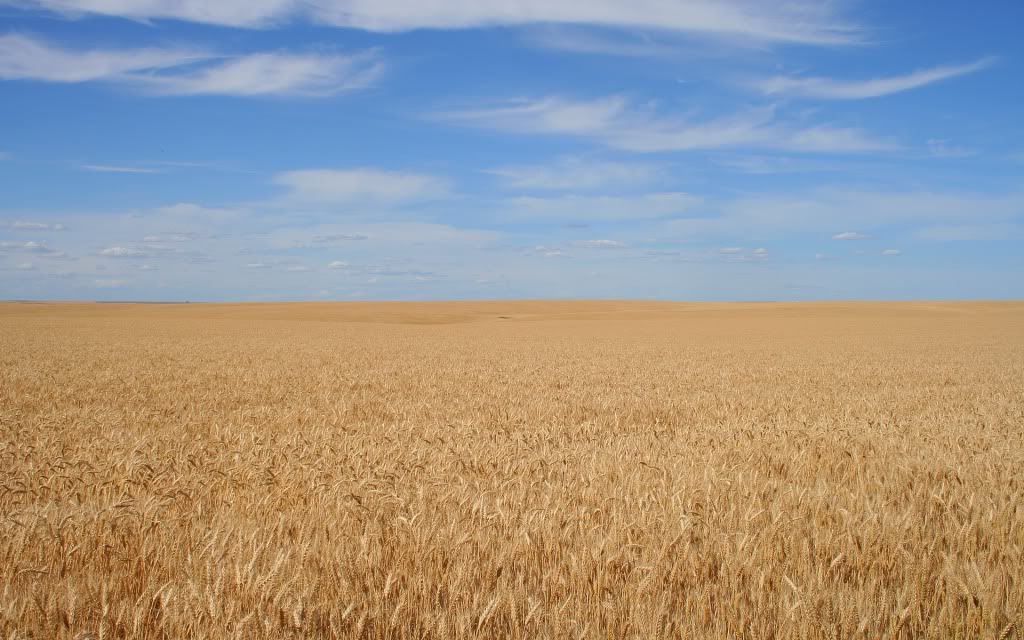 1920-1200-37833.jpg