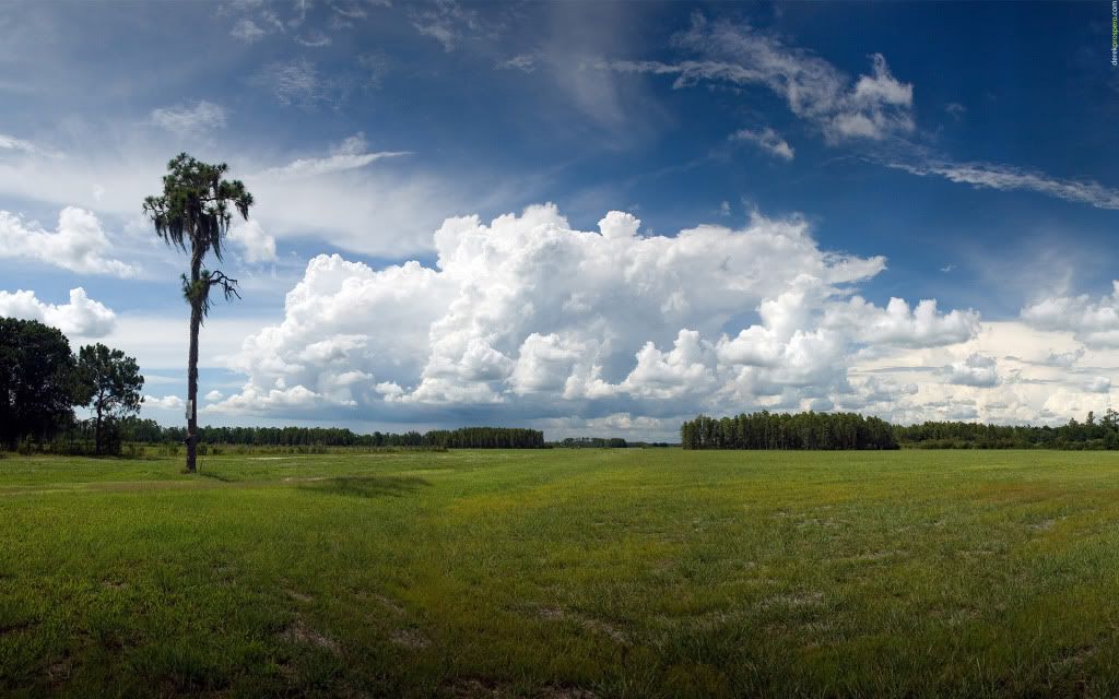 1920-1200-51494.jpg