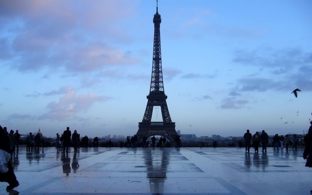 1920-1200-51673.jpg