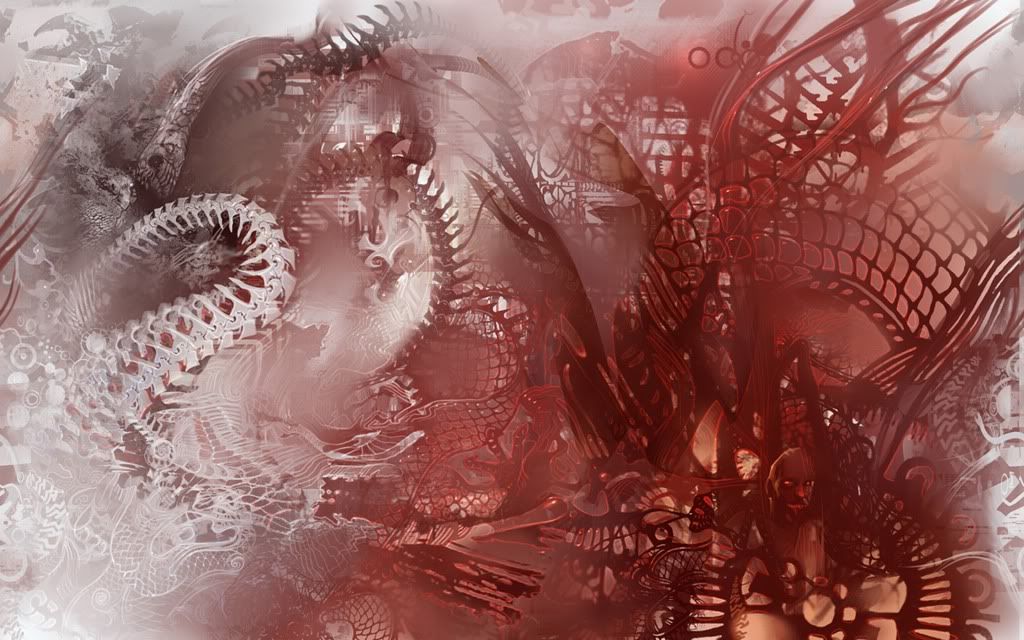 1920-1200-52632.jpg