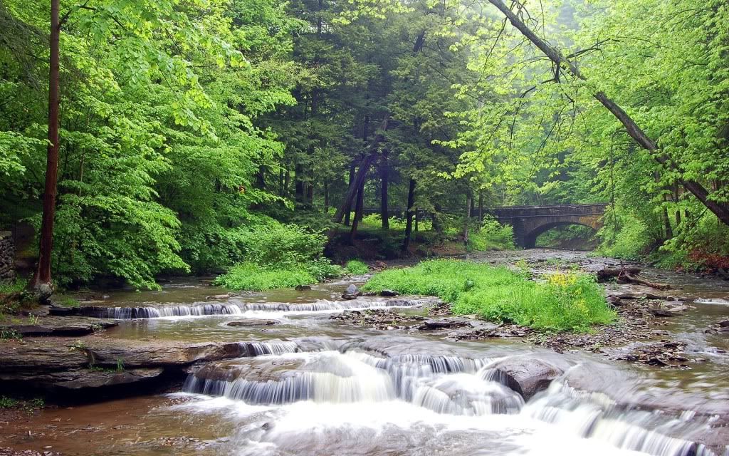 1920-1200-60270.jpg