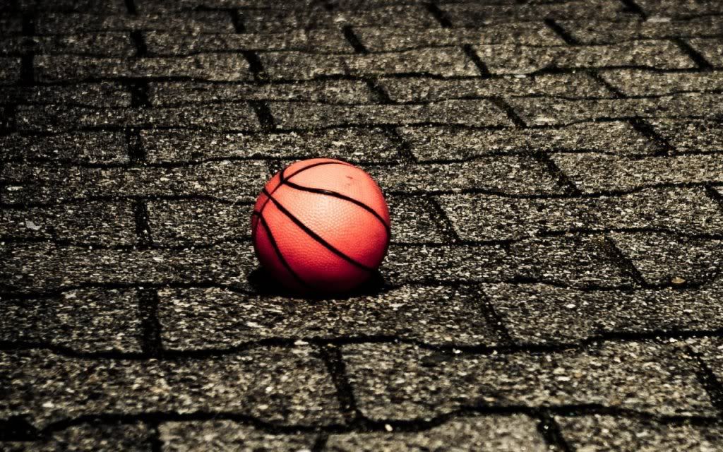 20081026111038.jpg