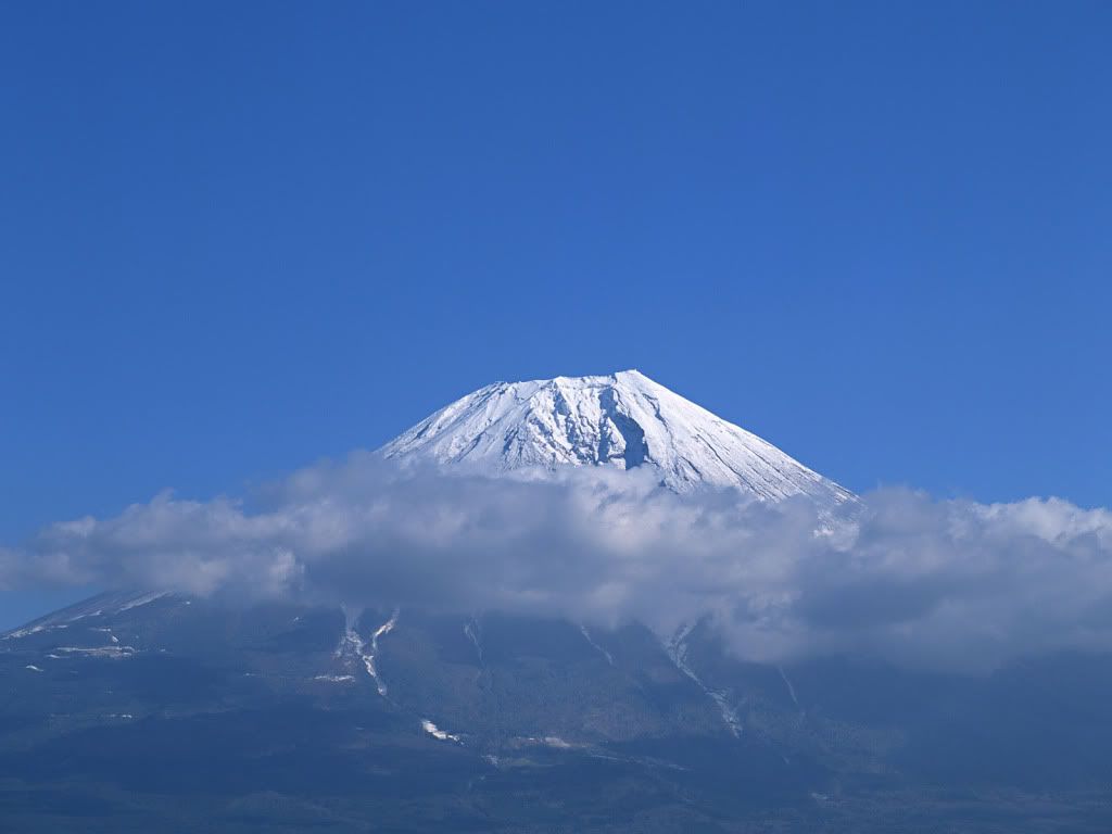 72.jpg