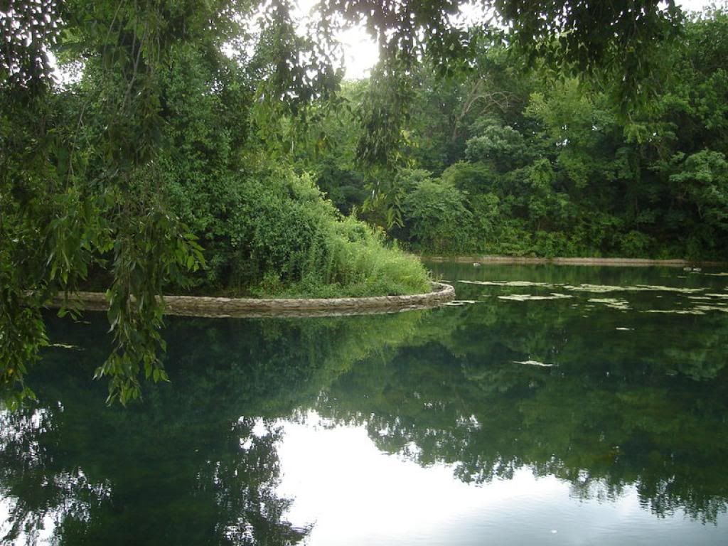 90.jpg