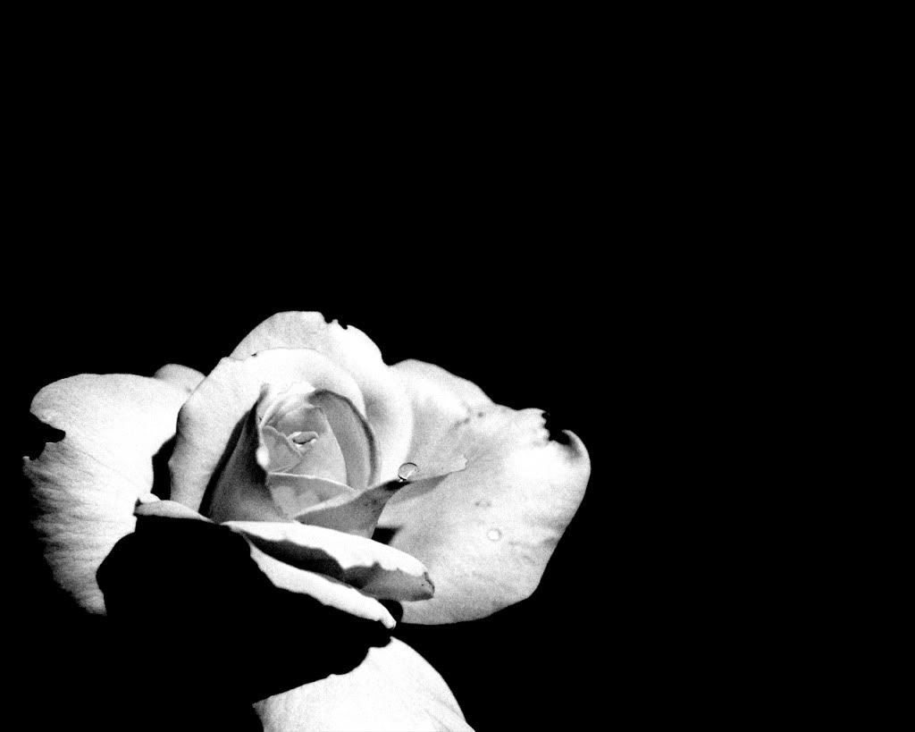 Black_BackgrondWhiteWallpapers01.jpg