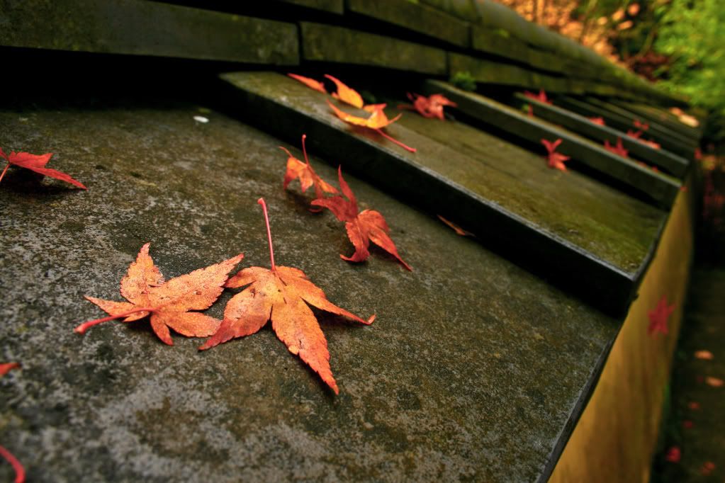 ComputerDesktopWallpapersCollection312_022.jpg