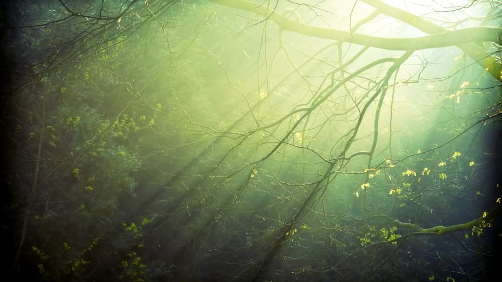HDPackSuperiorWallpapers298_045.jpg