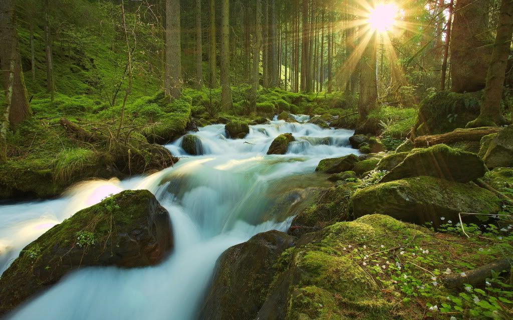 HDPackSuperiorWallpapers329_009.jpg