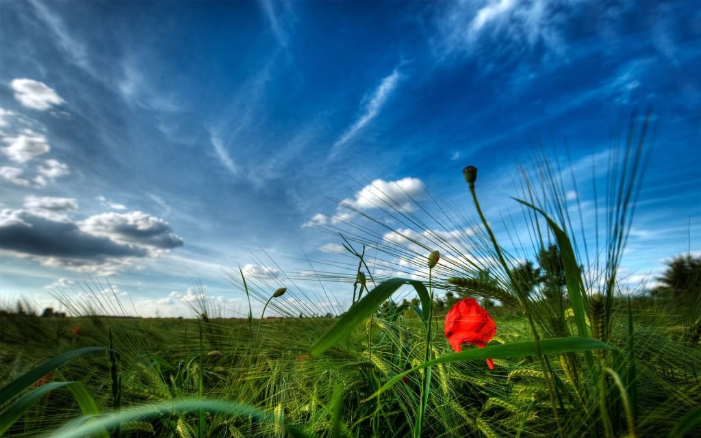 HDPackSuperiorWallpapers329_229.jpg