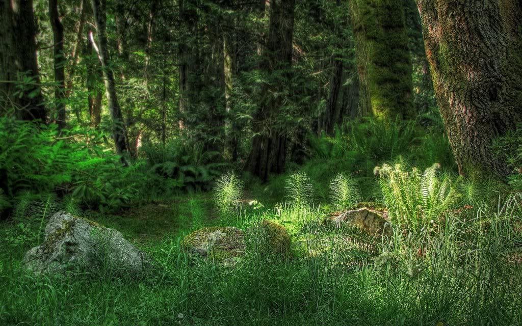 HDPackSuperiorWallpapers329_238.jpg