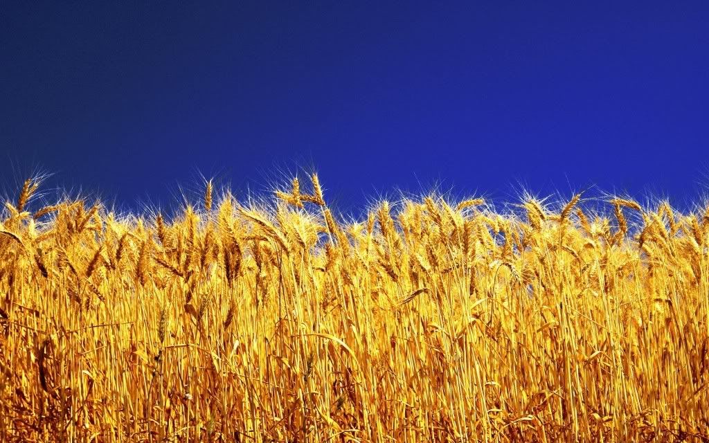 HDPackSuperiorWallpapers329_243.jpg