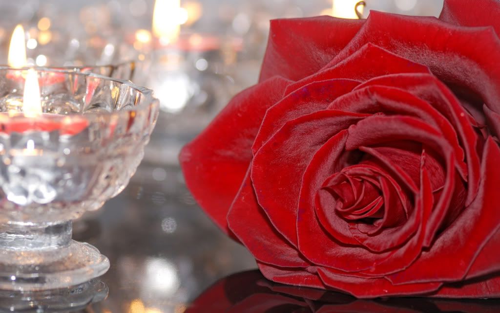 HDPackSuperiorWallpapers329_283.jpg