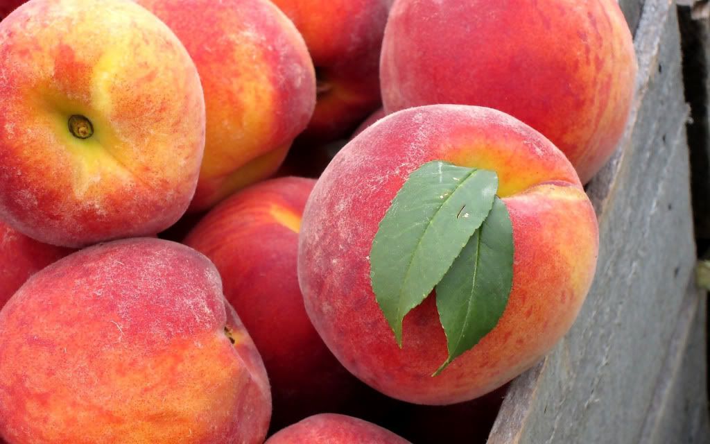 HDPackSuperiorWallpapers329_285.jpg