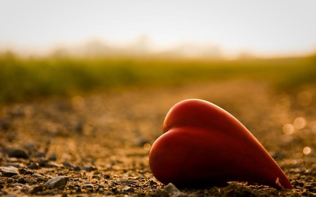 HDPackSuperiorWallpapers329_310.jpg