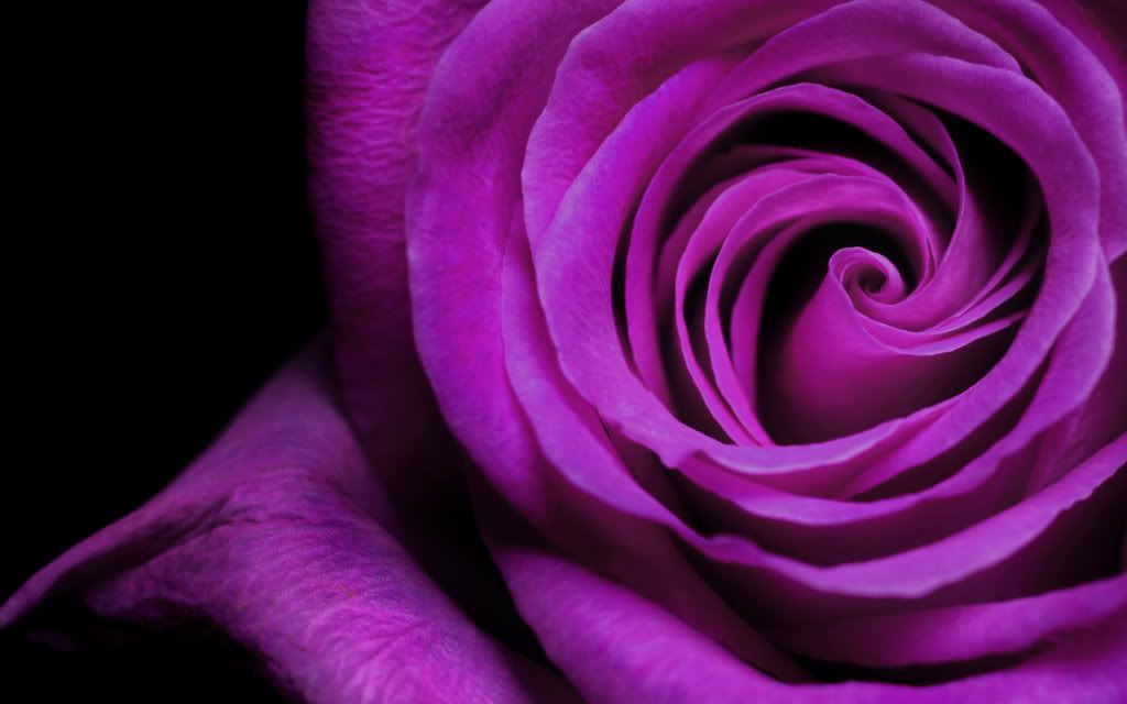 HDPackSuperiorWallpapers329_312.jpg