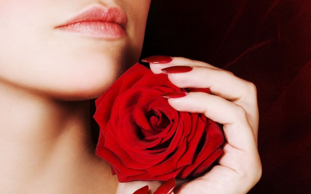 HDPackSuperiorWallpapers329_314.jpg