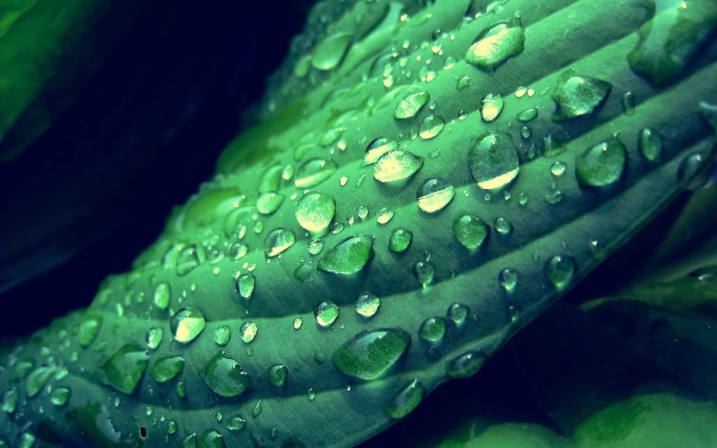 HDPackSuperiorWallpapers329_329.jpg
