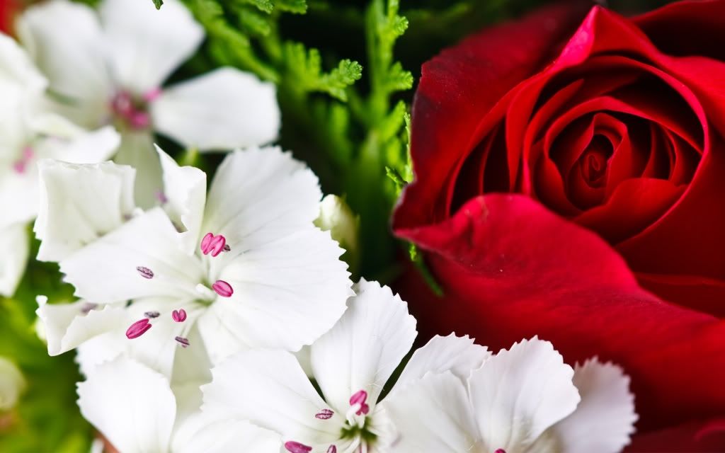 HDPackSuperiorWallpapers331_147.jpg