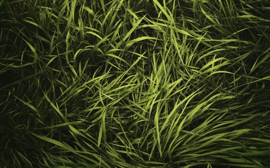 HDPackSuperiorWallpapers331_155.jpg
