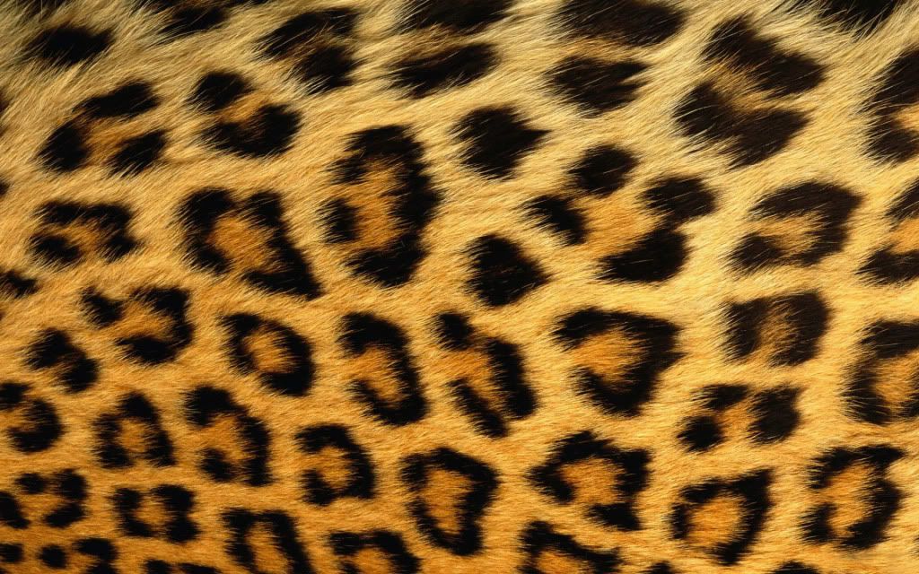 HDPackSuperiorWallpapers331_193.jpg