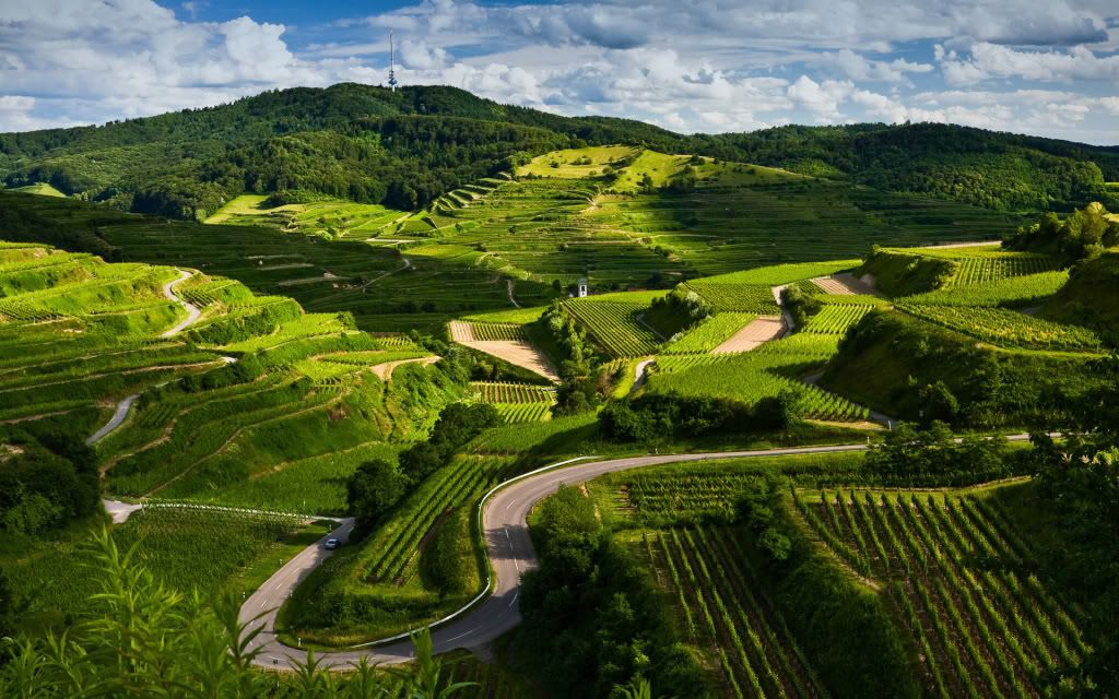 HDPackSuperiorWallpapers331_206.jpg