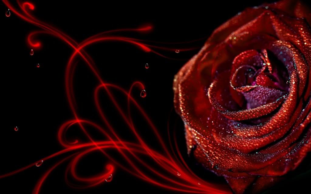HDPackSuperiorWallpapers331_245.jpg