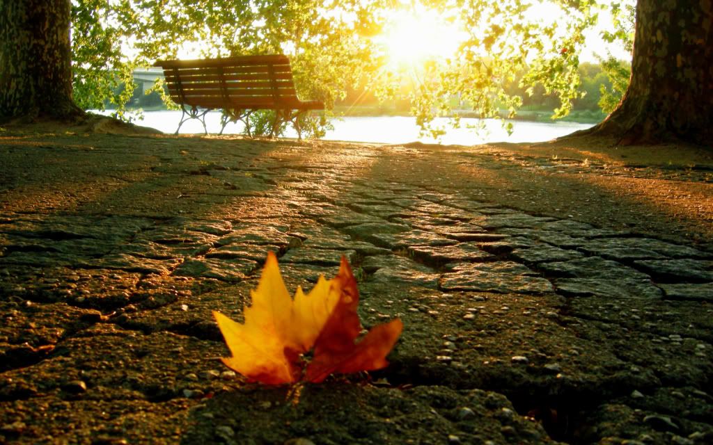 HDPackSuperiorWallpapers339_101.jpg