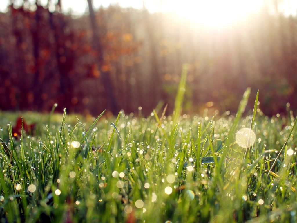 HDPackSuperiorWallpapers339_112.jpg
