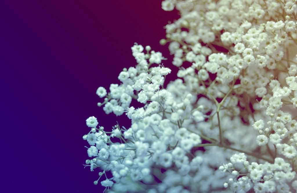 HDPackSuperiorWallpapers339_115.jpg