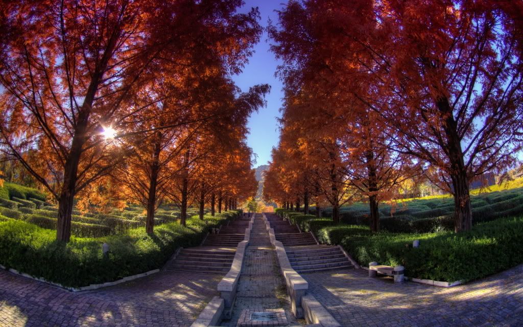 HDPackSuperiorWallpapers357_151.jpg